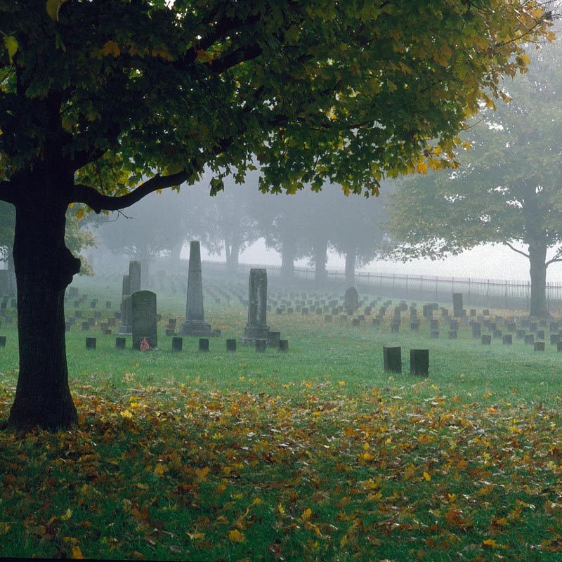McGavock Cemetery, photo by Robin Hood